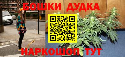 прущие грибы Ачхой-Мартан
