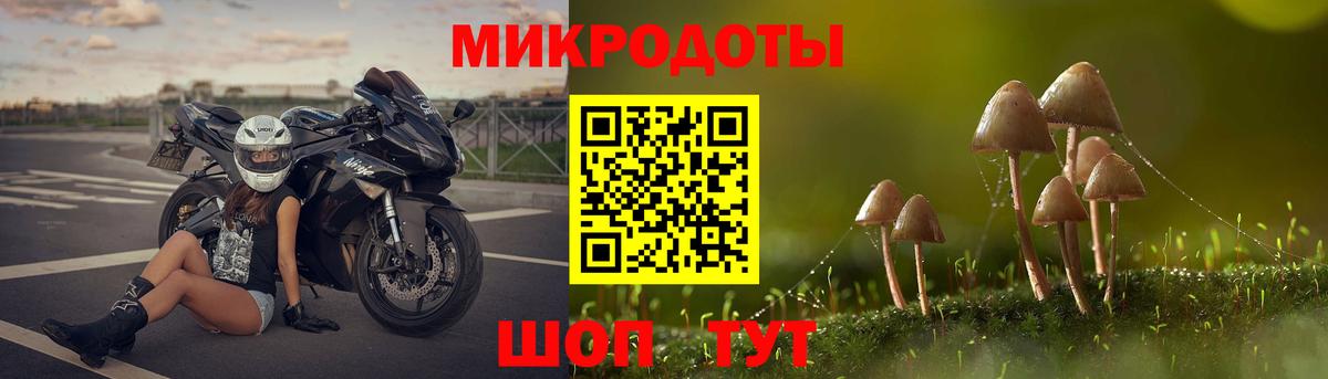 Азнакаево  Галлюциногенные грибы Psilocybine cubensis  купить наркотик  Вход с VPN  Псилоцибиновые грибы ЛСД 