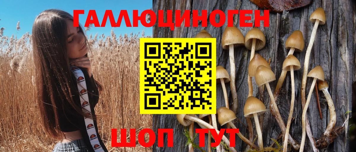 Галлюциногенные грибы Cubensis Азнакаево